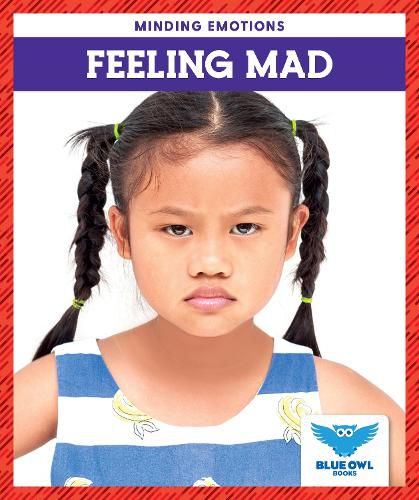 Cover image for Feeling Mad