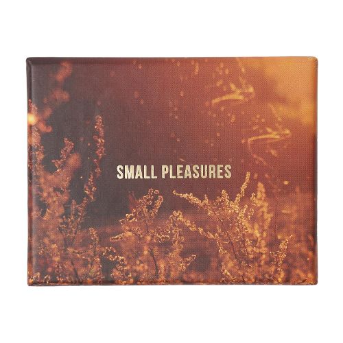 Small Pleasures