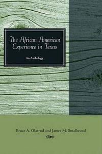 Cover image for The African American Experience in Texas: An Anthology