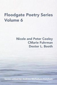 Cover image for Floodgate Series Volume 6