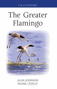 Cover image for The Greater Flamingo