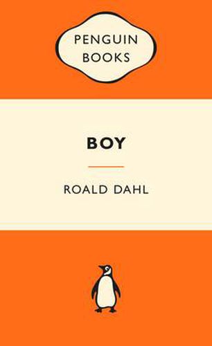Cover image for Boy: Popular Penguins