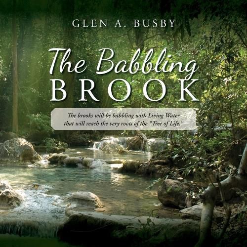 Cover image for The Babbling Brook