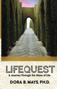 Cover image for LifeQuest: A Journey Through the Maze of Life