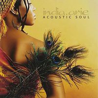 Cover image for Acoustic Soul