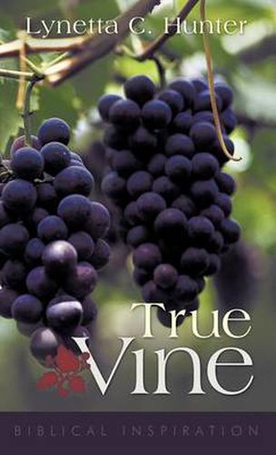 Cover image for True Vine