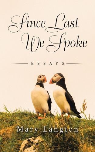 Cover image for Since Last We Spoke