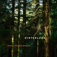 Cover image for Hinterland (Vinyl)