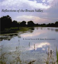 Cover image for Reflections of the Brazos Valley