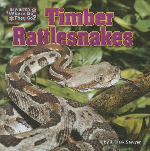 Timber Rattlesnakes