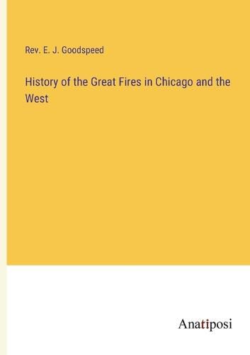 Cover image for History of the Great Fires in Chicago and the West