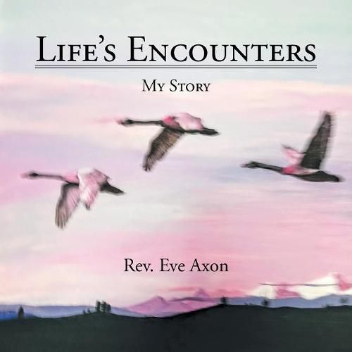 Cover image for Life's Encounters: My Story