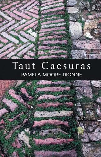 Cover image for Taut Caesuras