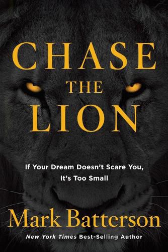 Cover image for Chase the Lion