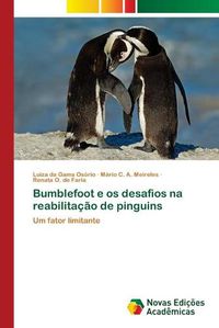 Cover image for Bumblefoot e os desafios na reabilitacao de pinguins