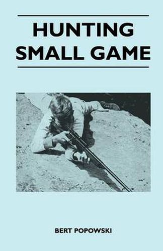 Cover image for Hunting Small Game