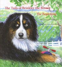 Cover image for The Tails of Brinkley the Berner: Book One: The Beginning