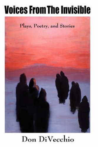 Cover image for Voices From The Invisible