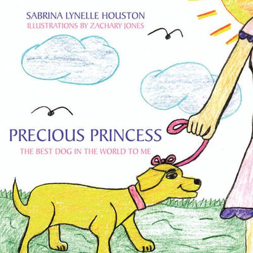 Cover image for Precious Princess