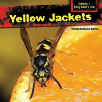 Cover image for Yellow Jackets