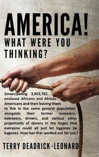 Cover image for America! What Were You Thinking?