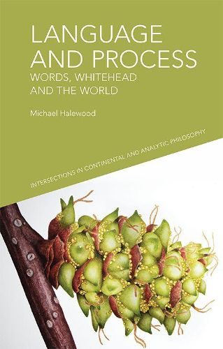 Cover image for Language and Process: Words, Whitehead and the World