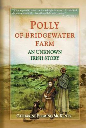 Cover image for Polly of Bridgewater Farm