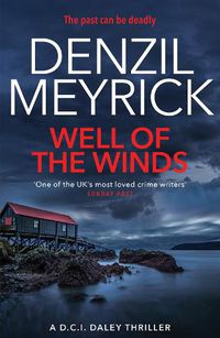 Cover image for Well of the Winds: A D.C.I. Daley Thriller