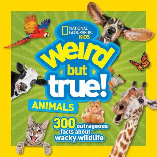 Cover image for Weird But True Animals