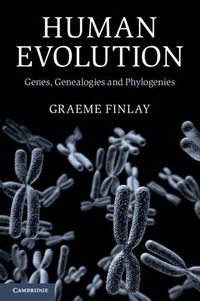 Cover image for Human Evolution: Genes, Genealogies and Phylogenies