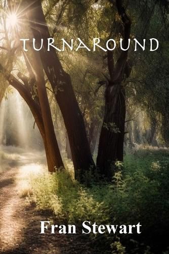 Cover image for Turnaround