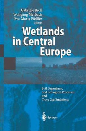 Cover image for Wetlands in Central Europe: Soil Organisms, Soil Ecological Processes and Trace Gas Emissions