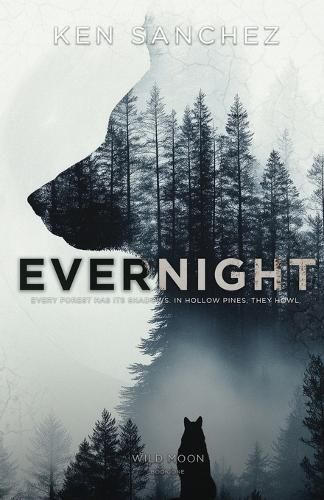 Cover image for Evernight