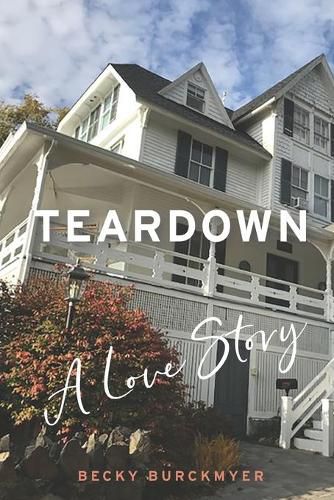 Cover image for Teardown: A Love Story