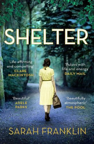 Shelter: 'One of the year's hottest debuts