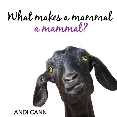 Cover image for What Makes a Mammal a Mammal?