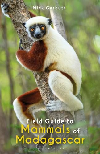 Cover image for Field Guide to Mammals of Madagascar