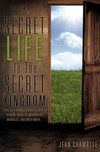 Cover image for A Secret Life In The Secret Kingdom