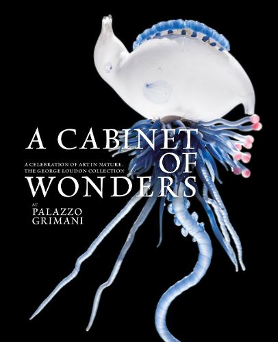Cover image for A Cabinet of Wonders