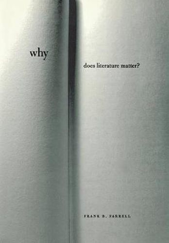 Cover image for Why Does Literature Matter?