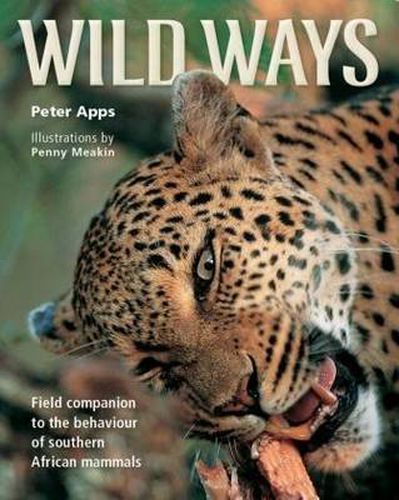 Cover image for Wild Ways