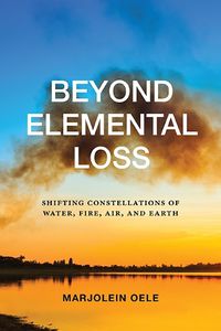 Cover image for Beyond Elemental Loss