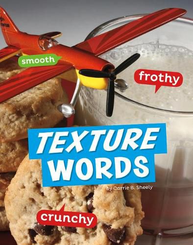 Cover image for Texture Words (Word Play)