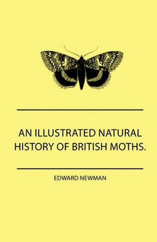 Cover image for An Illustrated Natural History Of British Moths. With Life-Size Figures From Nature Of Each Species, And Of The More Striking Varieties - Also, Full Descriptions Of Both The Perfect Insect And The Caterpillar, Together With Dates Of Appearance, And Locali