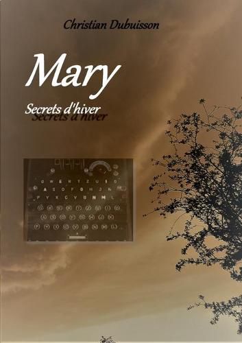 Cover image for Mary: Secrets d'hiver