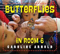 Cover image for Butterflies in Room 6