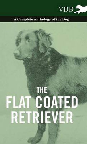 Cover image for The Flat Coated Retriever - A Complete Anthology of the Dog