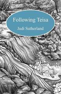 Cover image for Following Teisa