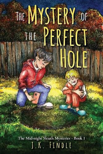 Cover image for The Mystery of the Perfect Hole