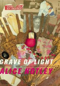 Cover image for Grave of Light